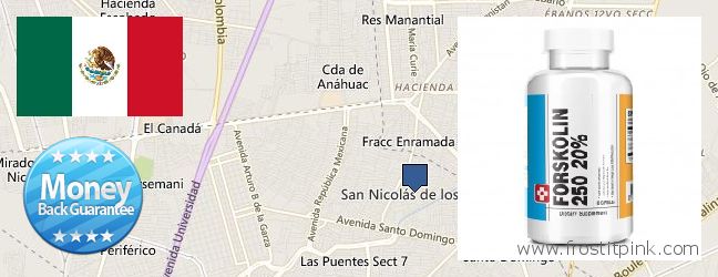 Where to Buy Forskolin Extract online San Nicolas de los Garza, Mexico