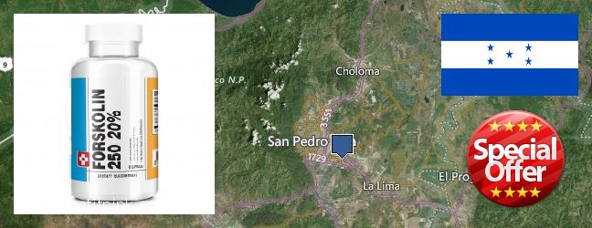 Dónde comprar Forskolin en linea San Pedro Sula, Honduras