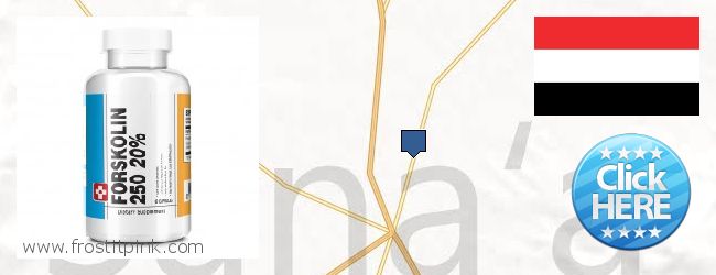 Where to Buy Forskolin Extract online Sanaa, Yemen