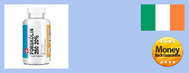 Buy Forskolin Extract online Sandyford, Ireland Purchase Forskolin Extract online Sandyford, Ireland