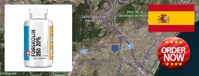 Buy Forskolin Extract online Sant Andreu de Palomar, Spain