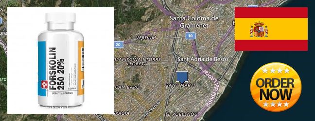Where to Buy Forskolin Extract online Sant Marti, Spain