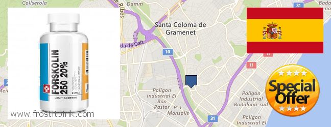 Where to Buy Forskolin Extract online Santa Coloma de Gramenet, Spain