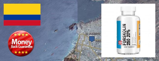 Dónde comprar Forskolin en linea Santa Marta, Colombia