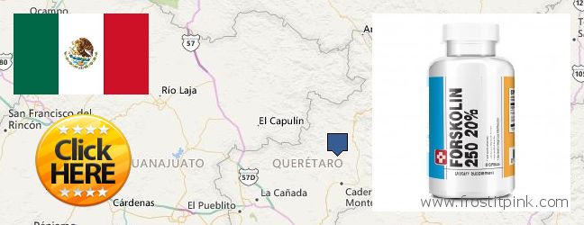 Where to Buy Forskolin Extract online Santiago de Queretaro, Mexico