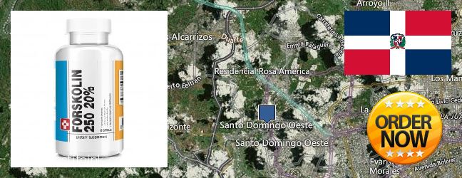 Buy Forskolin Extract online Santo Domingo Oeste, Dominican Republic