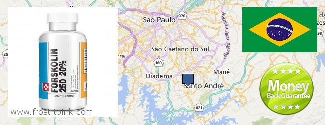 Where to Purchase Forskolin Extract online Sao Bernardo do Campo, Brazil
