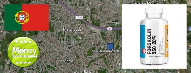 Where to Buy Forskolin Extract online Sao Domingos de Rana, Portugal