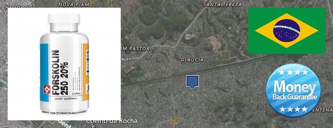 Where to Purchase Forskolin Extract online Sao Joao de Meriti, Brazil