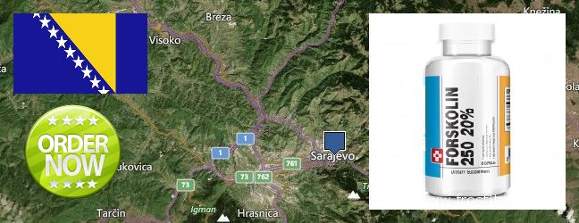 Where to Buy Forskolin Extract online Sarajevo, Bosnia and Herzegovina