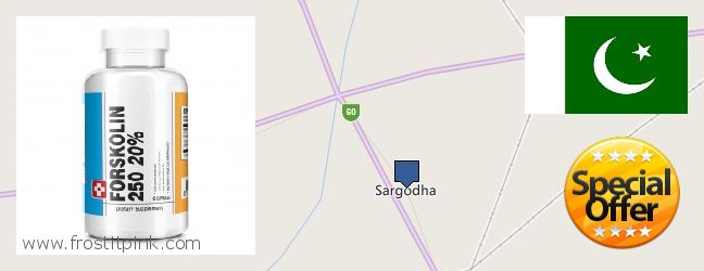 Where to Buy Forskolin Extract online Sargodha, Pakistan