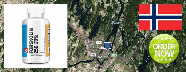 Hvor kjøpe Forskolin online Sarpsborg, Norway
