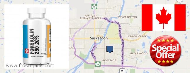 Où Acheter Forskolin en ligne Saskatoon, Canada