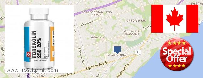 Où Acheter Forskolin en ligne Scarborough, Canada