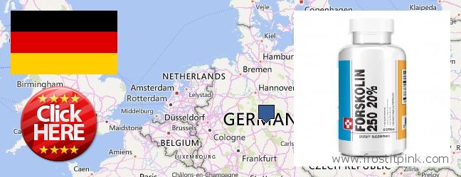 Where to Buy Forskolin Extract online Schoneberg Bezirk, Germany