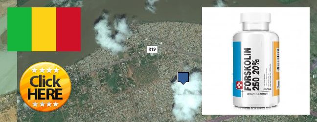 Où Acheter Forskolin en ligne Segou, Mali
