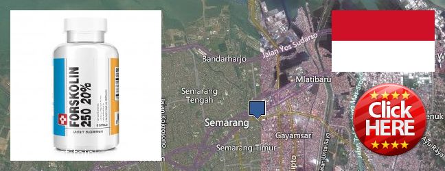 Buy Forskolin Extract online Semarang, Indonesia