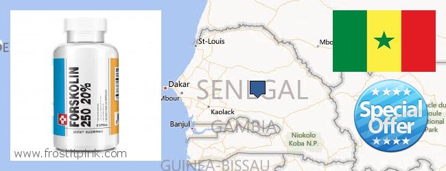 Where to Buy Forskolin Extract online Senegal