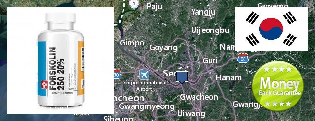 Where to Purchase Forskolin Extract online Seoul, South Korea