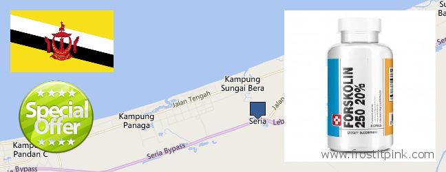 Buy Forskolin Extract online Seria, Brunei