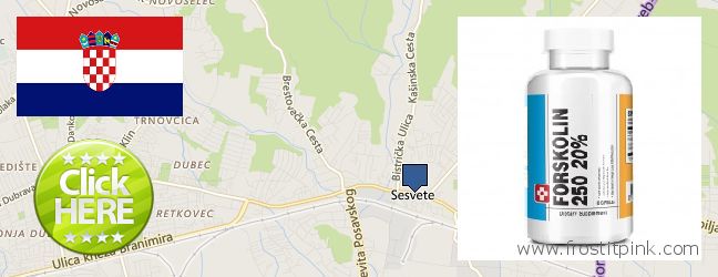 Keres Forskolin online Sesvete, Croatia Hol lehet megvásárolni Forskolin online Sesvete, Croatia