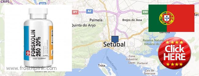 Onde Comprar Forskolin on-line Setubal, Portugal