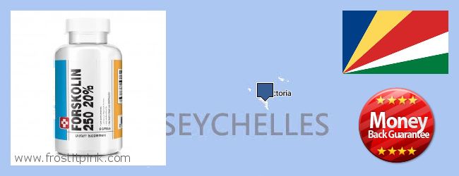 Purchase Forskolin Extract online Seychelles Where to Purchase Forskolin Extract online Seychelles