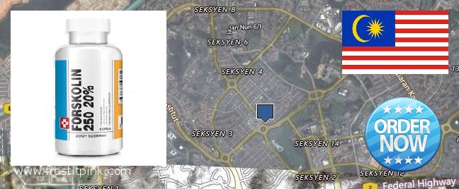 Where to Buy Forskolin Extract online Shah Alam, Malaysia