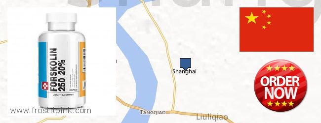 Purchase Forskolin Extract online Shanghai, China Purchase Forskolin Extract online Shanghai, China