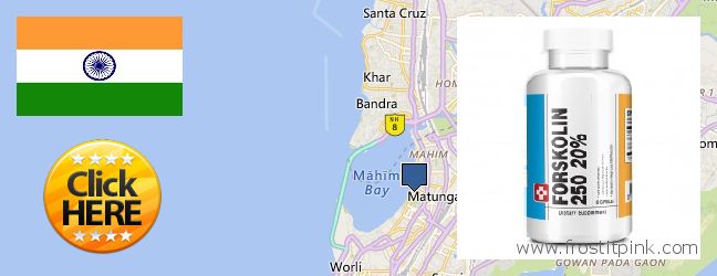 Where Can I Purchase Forskolin Extract online Shivaji Nagar, India