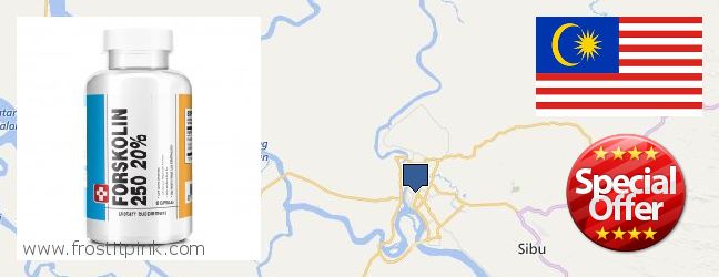 Where to Buy Forskolin Extract online Sibu, Malaysia