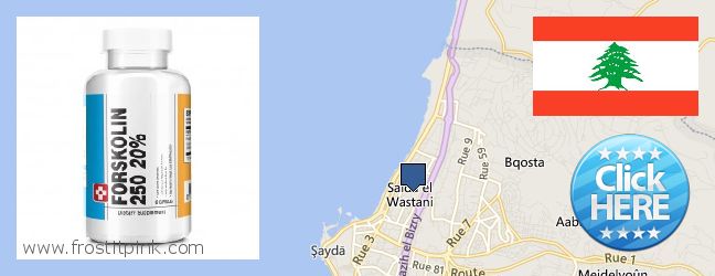 Purchase Forskolin Extract online Sidon, Lebanon