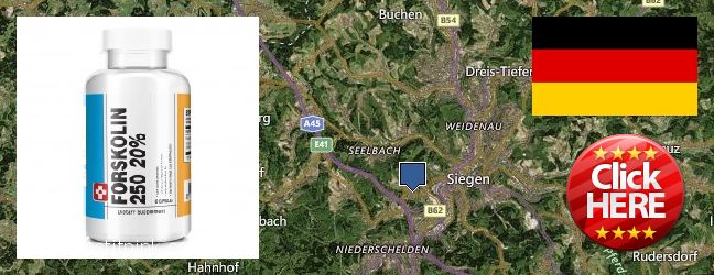 Where to Buy Forskolin Extract online Siegen, Germany