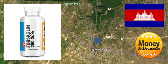 Where to Buy Forskolin Extract online Siem Reap, Cambodia