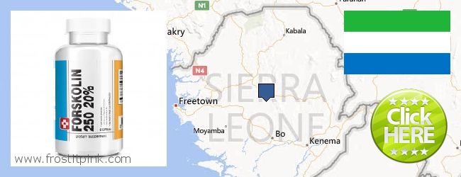 Kde kúpiť Forskolin on-line Sierra Leone