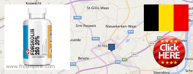 Où Acheter Forskolin en ligne Sint-Niklaas, Belgium