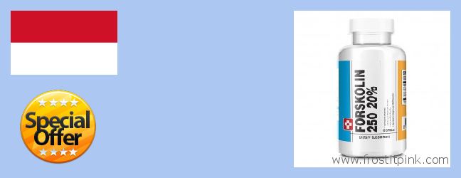 Buy Forskolin Extract online Situbondo, Indonesia