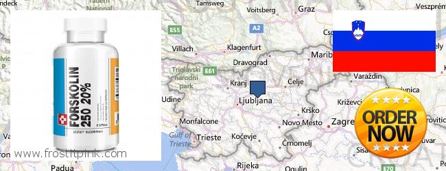 Where to Buy Forskolin Extract online Slovenia