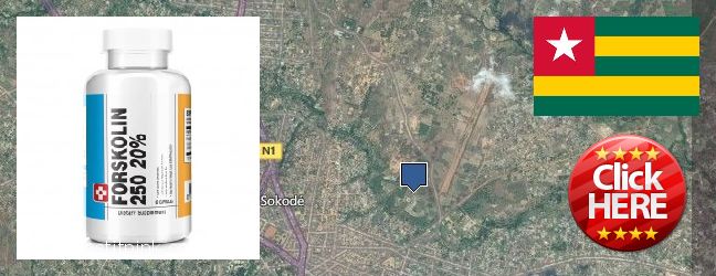 Où Acheter Forskolin en ligne Sokode, Togo