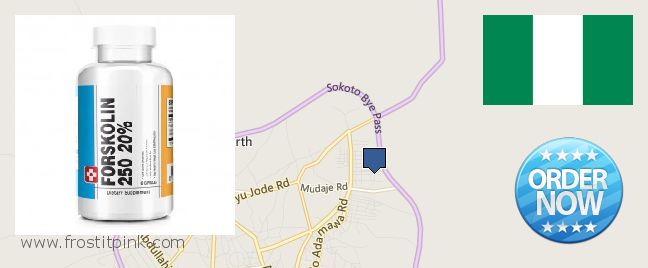 Where Can I Purchase Forskolin Extract online Sokoto, Nigeria