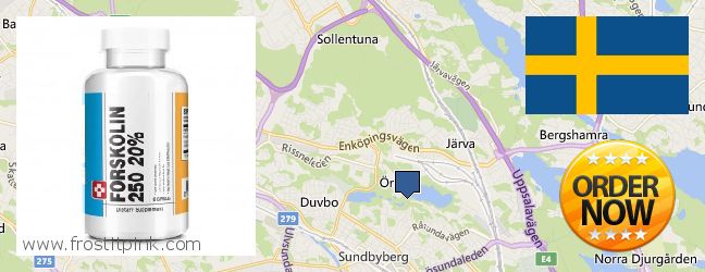 Where to Buy Forskolin Extract online Solna, Sweden