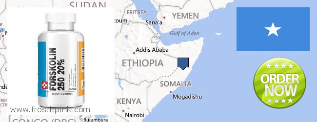 Kde koupit Forskolin on-line Somalia