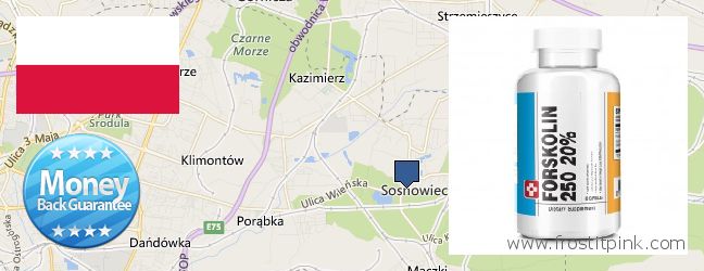 Kde koupit Forskolin on-line Sosnowiec, Poland