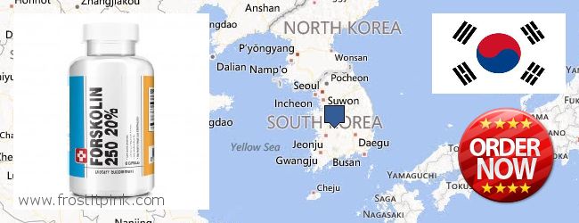 Buy Forskolin Extract online South Korea