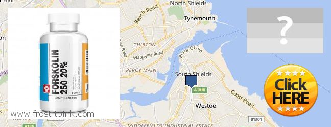 Buy Forskolin Extract online South Shields, UK