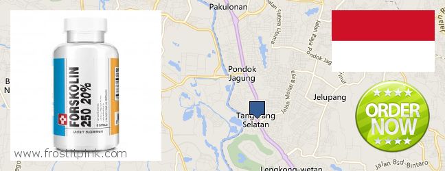 Where to Buy Forskolin Extract online South Tangerang, Indonesia