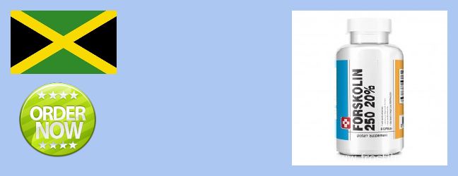 Where to Purchase Forskolin Extract online Spanish Town, Jamaica