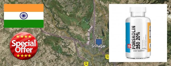 Buy Forskolin Extract online Srinagar, India Where to Buy Forskolin Extract online Srinagar, India