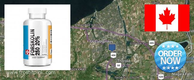 Où Acheter Forskolin en ligne St. Catharines, Canada