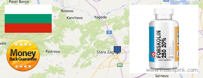 Where to Purchase Forskolin Extract online Stara Zagora, Bulgaria